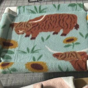 10in cot
